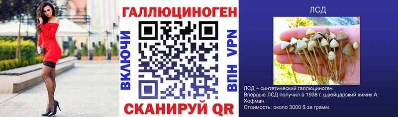 купить закладку  Екатеринбург  hydra сайт  Галлюциногенные грибы Cubensis 